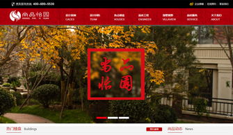 廊坊企業(yè)數(shù)字化轉(zhuǎn)型的堅實(shí)伙伴 迅騰網(wǎng)絡(luò)網(wǎng)站建設(shè)經(jīng)典案例解析