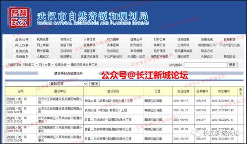 長江新區(qū)武湖兩大動(dòng)脈即將啟動(dòng)建設(shè)，不動(dòng)產(chǎn)登記代理服務(wù)迎發(fā)展新機(jī)